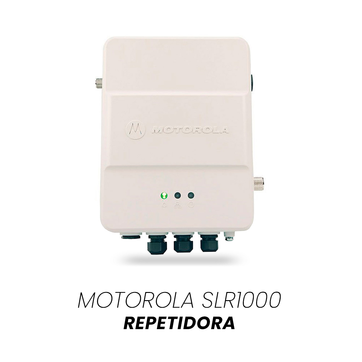 Motorola